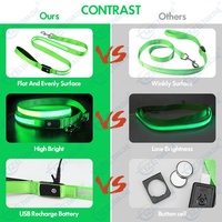 Nouvelle Arrivée Vente en Gros Laisse Lumineuse pour Chien à LED Rechargeable USB pour Promenade Nocturne