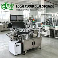 Machine de marquage laser UV sans erreur pour la numérotation des bouteilles en plastique, avec armoire en acier inoxydable, équipement de codage continu