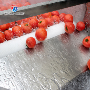 Laveuse Professionnelle Industrielle pour Pommes de Terre, Gingembre, Fruits, Tomates, Carottes et Dattes - Product Image 6