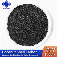 Charbon actif de coque de noix de coco, valeur d'iode 800, filtre de purification d'air, raffinage de l'or, granulaire en vrac, certifié ISO 9001, 99,99%