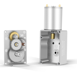 Personalizable N20 6V 40Rpm 10 Kg/Cm DC Motor de engranaje de tornillo sin fin de doble salida pequeño engranaje de Metal para electrodomésticos licuadoras ventiladores 24V 5A - Product Image 3