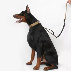 OEM ODM Tactical Combat Hunde halsband und Leine Tactical Water proof Strong Training Hoch leistungs griff Nylon Outdoor Hunde halsband - Product Image 6