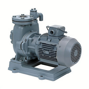Pompe centrifuge électrique auto-amorçante Kawamoto Gs2 Hastelloy C276 pour usage industriel - Product Image 2