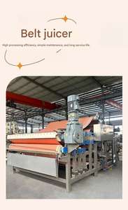 Máquina Extractora de Jugo de Frutas Industrial Automática Profesional Personalizada Tipo Correa de Alta Capacidad Comercial - Product Image 2