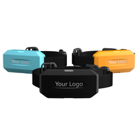 Collier GPS intelligent anti-perte 4G pour chiens et chats