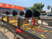 SK Haute Efficacité Moteur Racine Légumes Fruits Gingembre Chili Ail Oignon Bulle Machine À Laver Varech Champignon Nettoyage SUS 304