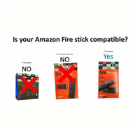 Câble OTG USB pour Amazon Fire Stick 2e 3e génération adaptateur Ethernet TV X Stream