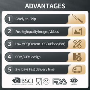 XINZUO Professional 3 pezzi in stile giapponese Pakka Wood damasco 10Cr Steel Sharp Kitchen <span class=keywords><strong>Chef</strong></span> Knife <span class=keywords><strong>Set</strong></span> - Product Image 6