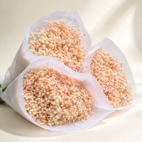 Bunga Gypsophila Kering Grosir, Buket Baby's Breath, Pengisi Bunga Bulat untuk Dekorasi Pernikahan dan Rumah