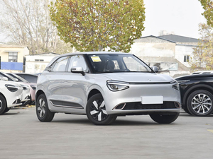 Dongfeng Nano 01 2026 Édition Chuxin 330Air 658 <span class=keywords><strong>Voiture</strong></span> Électrique Idéale pour les Trajets Urbains Quotidiens et les Déplacements sur Courtes Distances. - Product Image 3