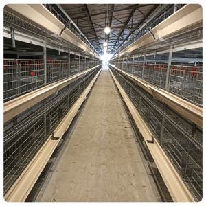 Nuovo tipo H completamente automatico Jaulas Para Gallinas Ponedoras gabbia di gallina di buona qualità con il materiale zincato a caldo - Product Image 5