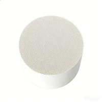 Servizio Online 24/7, Filtro DPF a Nido d'Ape in Ceramica ad Alto Flusso per Ordini Personalizzati e Disponibilità Immediata