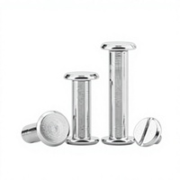 Rivets aveugles en acier inoxydable 304, rivets à percussion 2-4,8 mm, classe 4, résistants à la chaleur, finition brute, pour fixation de tôles métalliques