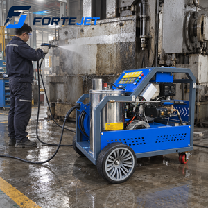 Idropulitrice ad Alta Pressione 250 Bar, Lavatrice Industriale ad Acqua Calda, 18L/min, 10kW, Macchina per Pulizia a Benzina - Product Image 2
