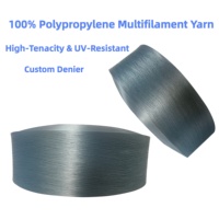 Fil FDY multifilament en polypropylène 300D/900D avec résistance aux UV, options teintes/brutes pour rubans, cordes et filets de pêche tissés à la main