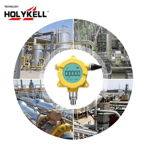 Holykell Wireless Remote Wasserdruck sensor Sender