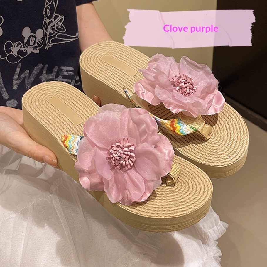Pourpre