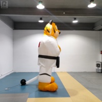 Mascotte de tigre gonflable, personnage de taekwondo gonflable géant, arts martiaux gonflables personnalisés pour la décoration d'événements et la publicité