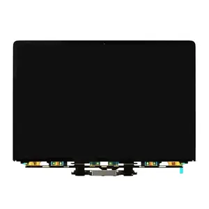Tout nouveau remplacement d'assemblage d'affichage LCD A2141 de l'année 2019 pour Macbook Pro Retina 16 "couleur gris/argent