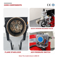 Brûleur à gaz automatique série BNG, commande conviviale pour four industriel, brûleur à gaz fiable