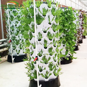 Grande serre en verre pour jardin domestique - Tour de culture hydroponique verticale pour la culture <span class=keywords><strong>des</strong></span> fraises - Product Image 4