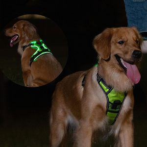 Glow in Nylon scuro regolabile senza trazione ricaricabile a <span class=keywords><strong>LED</strong></span> illuminante imbracatura per cani, fascia toracica luminosa per animali domestici per la camminata notturna di sicurezza dei cani - Product Image 6