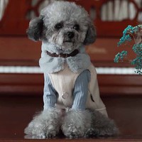 Écharpe pour chien en fourrure de lapin en polyester doux personnalisée - Design amusant pour toutes les saisons