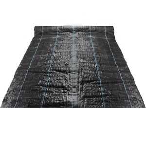 Film de paillage agricole noir anti-herbe en plastique pour couverture du sol - Product Image 4