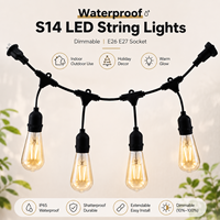 Guirlande lumineuse LED S14 rechargeable et dimmable, ampoule E26/E27, IP65, pour intérieur, fêtes, extérieur, étanche, pour camping, auvent