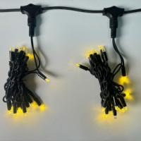 IP65 étanche LED rideau lumière 2*3m 300LED extérieur fée LED mur lumière détachable ligne en caoutchouc