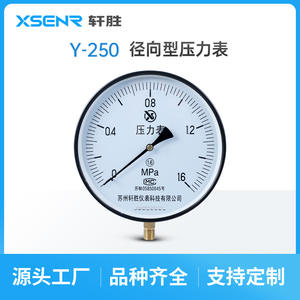 Manomètre Suzhou Xuansheng Y250 1,6 Mpa, 250 mm, acier inoxydable, raccord fileté, pour utilisation avec chaudière à vapeur - Product Image 5