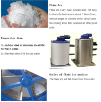 Machine à glace en flocons Robin 12 tonnes par jour, qualité alimentaire SS304, contrôle automatique PLC, refroidissement par air pour la viande et les fruits de mer