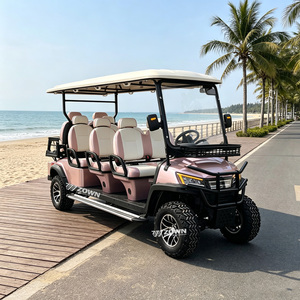 Carrito de Golf Eléctrico de 8 Pasajeros Directo de Fábrica, Vehículo de Golf con Batería de Gran Capacidad para Puntos Turísticos y Campos de Golf, Pedidos al por Mayor - Product Image 1