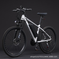 Vélo Électrique Adulte Personnalisable avec Logo, Jantes en Acier Allié, Charge Maximale 160 kg, Autonomie 60 km, Vente en Gros Transfrontalière Mondiale