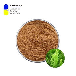 Premium atkuyruğu özü tozu <span class=keywords><strong>7%</strong></span> silika | Gıda sınıfı organik Equisetum Arvense tozu | Doğal saç, cilt ve kemik desteği - Product Image 1