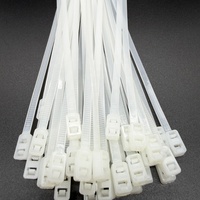 Serre-câbles robustes en nylon 66 transparents à double tête avec deux verrous de fixation pour tuyaux et utilisation extérieure