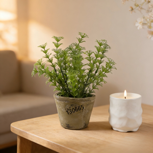 <span class=keywords><strong>Plante</strong></span> artificielle moderne <span class=keywords><strong>en</strong></span> <span class=keywords><strong>pot</strong></span> de ciment, herbe de <span class=keywords><strong>vanille</strong></span> vert clair de haute qualité, facile à utiliser pour la décoration de la maison et du bureau - Product Image 1