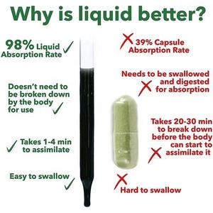 성인 건강-개선 액체 엽록소 방울 공장 도매 순수 식물 추출물은 면역 및 체중 감소를 지원합니다 - Product Image 5