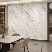 Panel de Pared de PVC con Aspecto de Mármol, Sistema Completo para Paredes Interiores, Proyecto Comercial para Hoteles y Restaurantes WYRAX