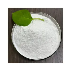 Chinese Factory Price Of Na2CO3 497-19-8 White Powder 99.2% Soda Ash Light