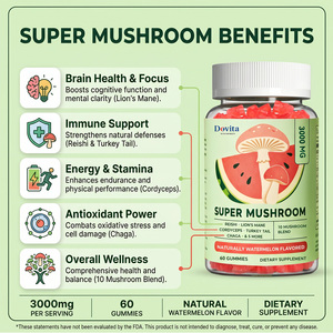 Gomitas Veganas Orgánicas con Hongos, Marca USA OEM, Melena de León, Reishi, Chaga, Cordyceps, Certificadas GMP, Sin OMG, Mezcla Natural de Espectro Completo - Product Image 3