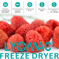 Lyophilisateur médical personnalisable avec système de chargement automatique, lyophilisateur alimentaire industriel 10-200 kg