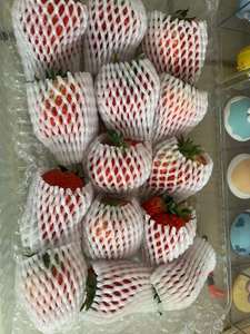 Manchon de filet en mousse pour emballage de fruits pour bouteilles et papaye au melon - Product Image 4