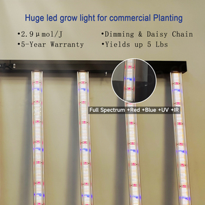 Lm301h EVO <span class=keywords><strong>lm281</strong></span> dẫn phát triển ánh sáng 4x8 wachstumslichter vollspektrum lampe de văn hóa dẫn de 1600 Watt 1500W 1300W 1200W phát triển ánh sáng - Product Image 3