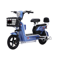 Super Offre sur un Vélo Électrique 350W pour Deux Personnes - Comprend un Affichage Numérique et une Alarme à Distance