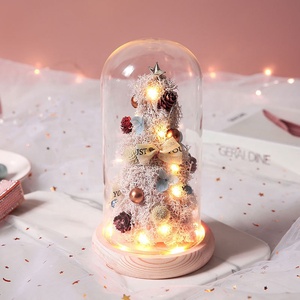 TC Wholesale Led <strong>Lights</strong> Star Preserved Rose Flower Moss Plants Christmas Gifts Decorations Supplies Christmas <strong>Tree</strong> <strong>in</strong> Glass Dome - Product Image 2