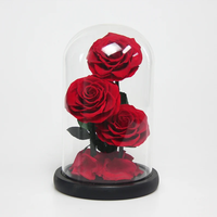 Trois roses réelles préservées dans un dôme en verre, stabilisées, éternelles, durables, fleurs préservées, cadeau romantique