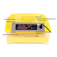 Incubateur intelligent entièrement automatique HHD pour 56 œufs, longue durée de vie, vente chaude