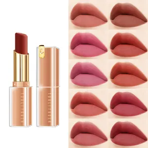 Custom Hot sales bellezza naturale top lady rossetto a prova di acqua rossetto rossetto leggero morbido cruelty free rossetti 10 colori