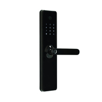 Hoogwaardige anti-diefstal vingerafdruk Tuya APP WIFI afstandsbediening ontgrendeling 6068 insteekslot slimme slot camera glazen deur aluminiumlegering cloud